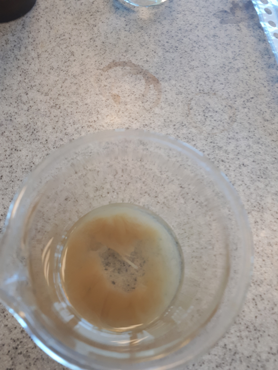 20190401_131852.thumb.jpg.f20958f392a22ba36787118cdeb6a01f.jpg