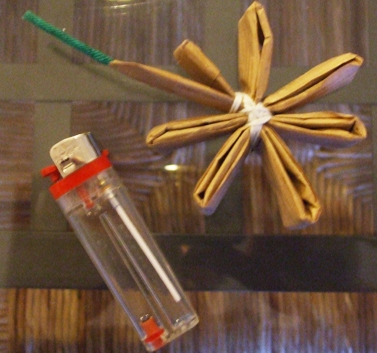 tarantula